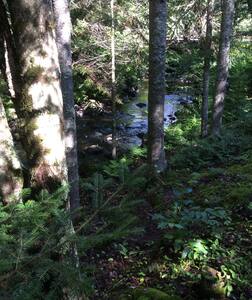 Mont-Tremblant logement
Au bord de la rivière.
