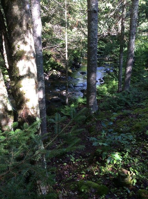 Mont-Tremblant logement
Au bord de la rivière.
