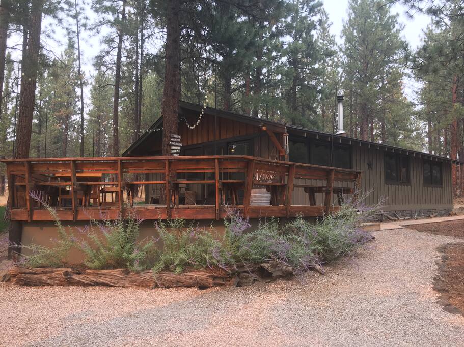Driveway view of our cabin.