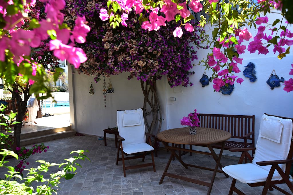 Private Garden with swimming pool view
