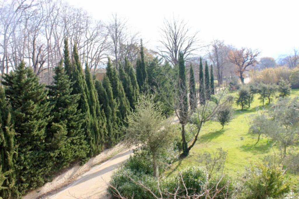 Chemin
