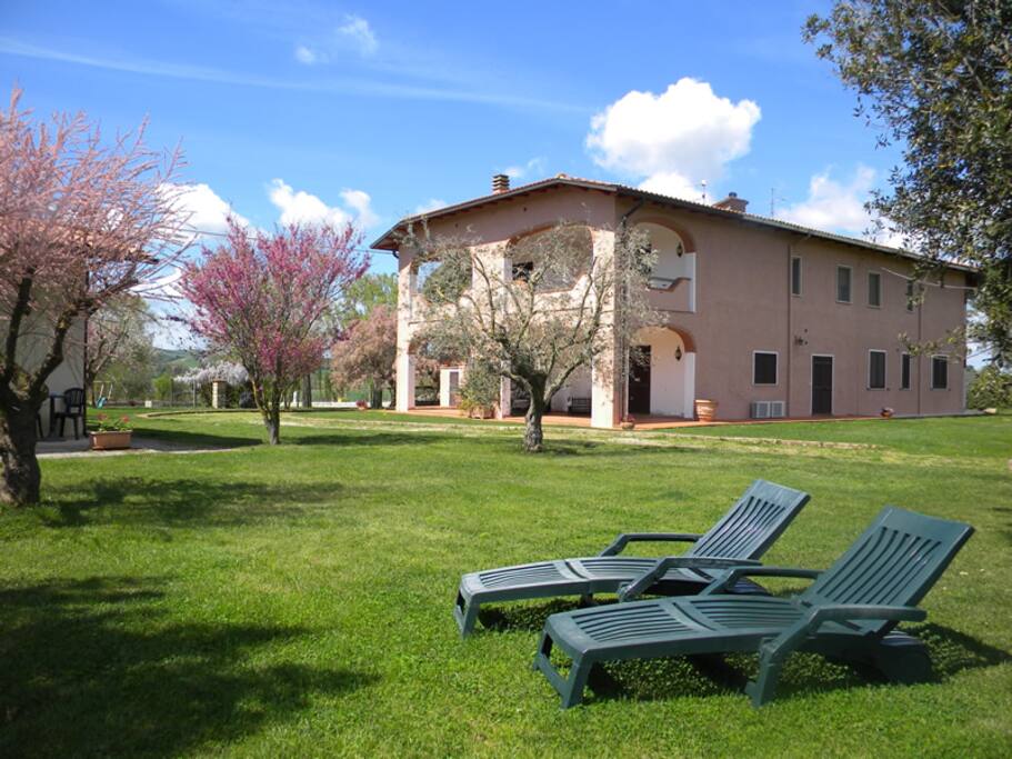 Giardino