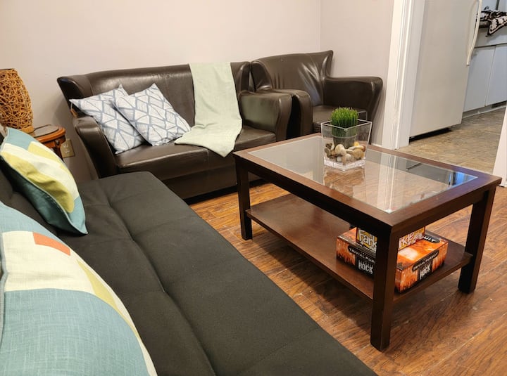 Aikins Place - 3 Beds/1bth 8 Mins To Downtown - Winnipeg
