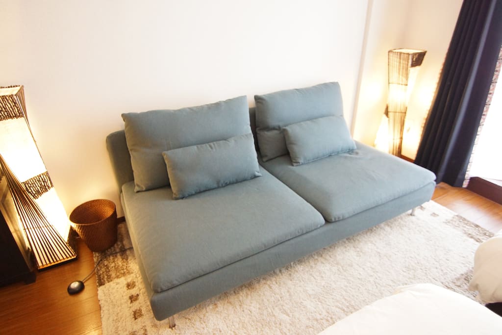 A sofa. Enough size to sleep.