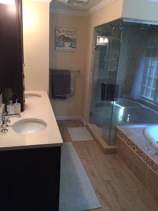 Master bath, shower, jacuzzi tub, & dual sink