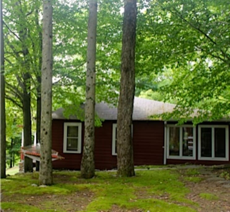 Shady grove on s side of house with hammock, fire pit, and barbecue.