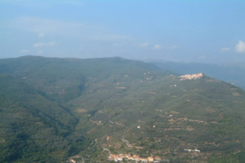 View from the terrace