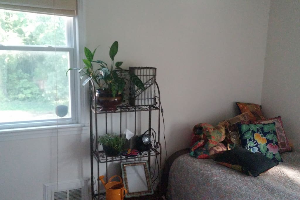 Sunny Room