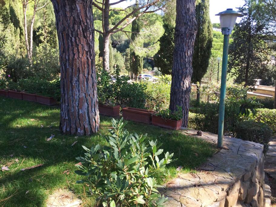 Giardino