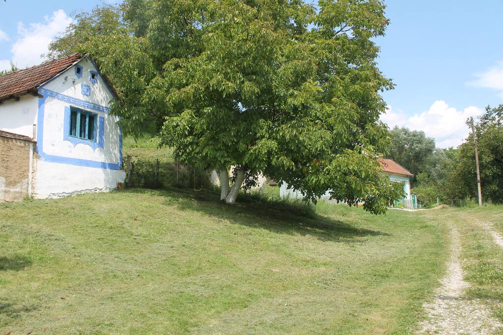 Our house is at the edge of the village