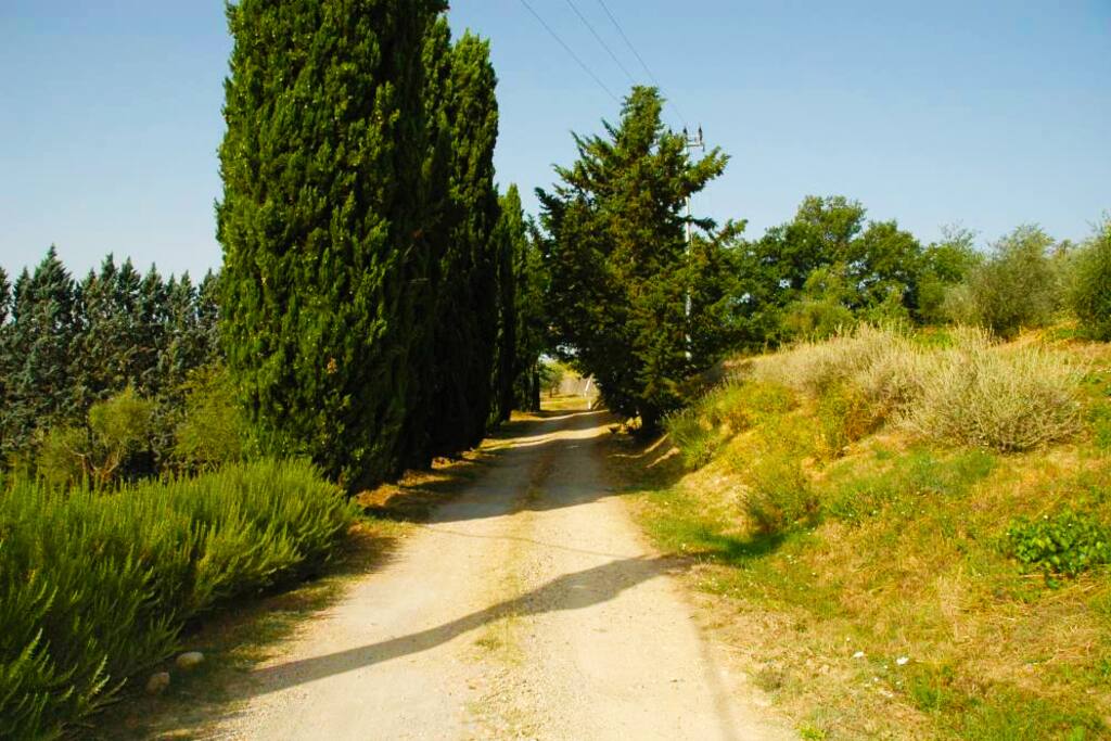 strada di accesso alla proprietà