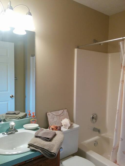 Private bath, take a bath or a shower with great water pressure! Blow dryer is under the sink...