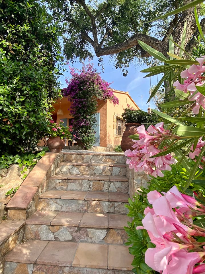 Lovely house with private Pool and Garden