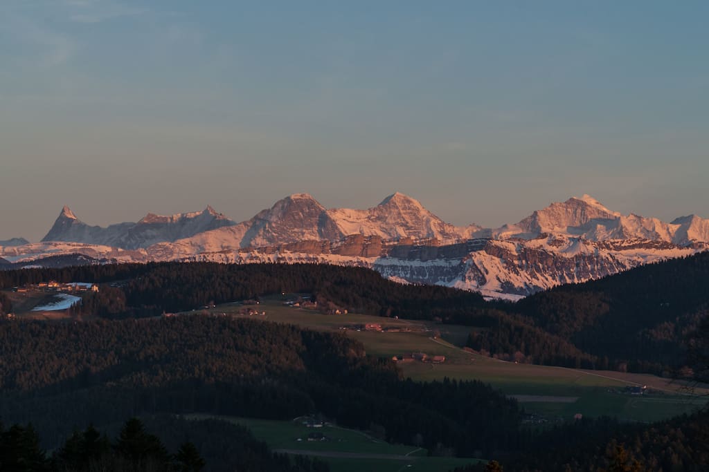 Panorama