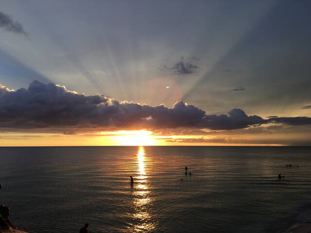 Naples Artist’s Garden
Guest Suite,  Bike to Beach