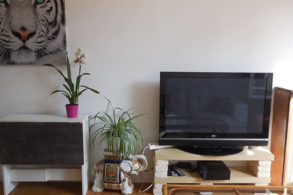 living with folding table
