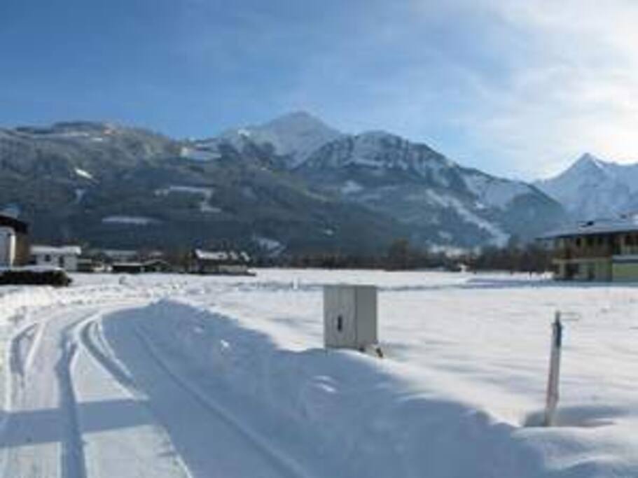 Zellermoos mit Gipfelpanorama