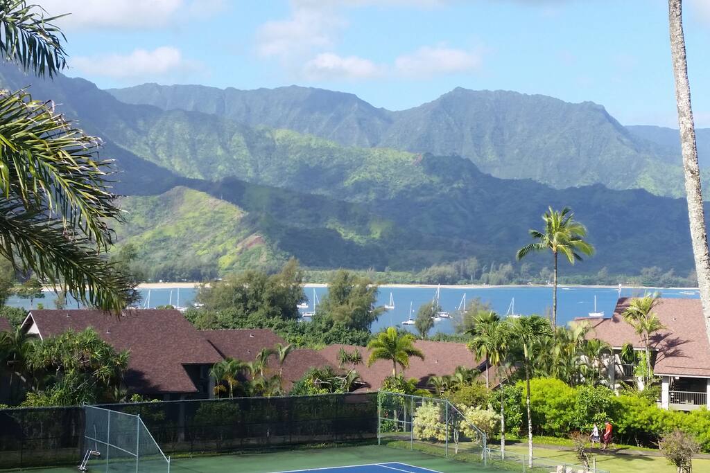 Have LUNCH on your unit Lanai as Sailboats pass by....