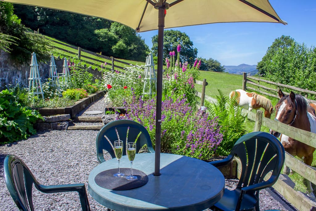 Enjoy drinks and the company of our resident ponies in Hillside's private garden.
