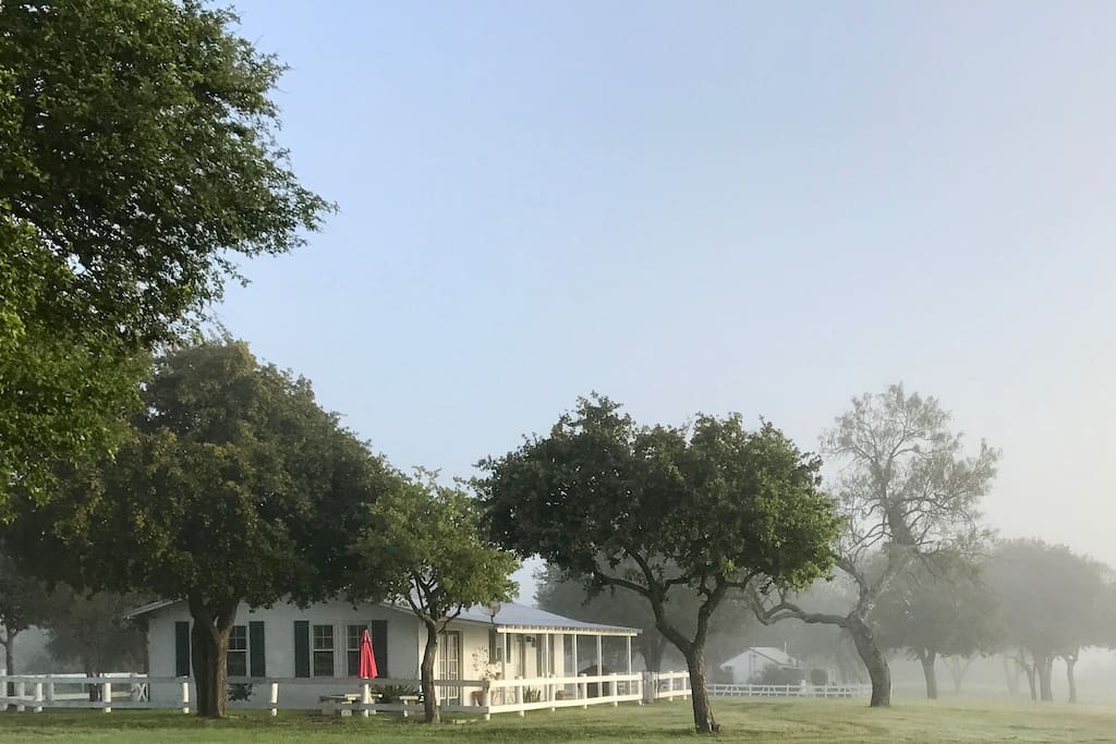 FOGGY SOUTH TEXAS FALL MORNING!