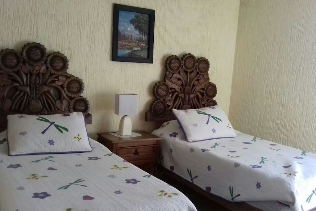 Twin bed bed rooms with beatiful furniture