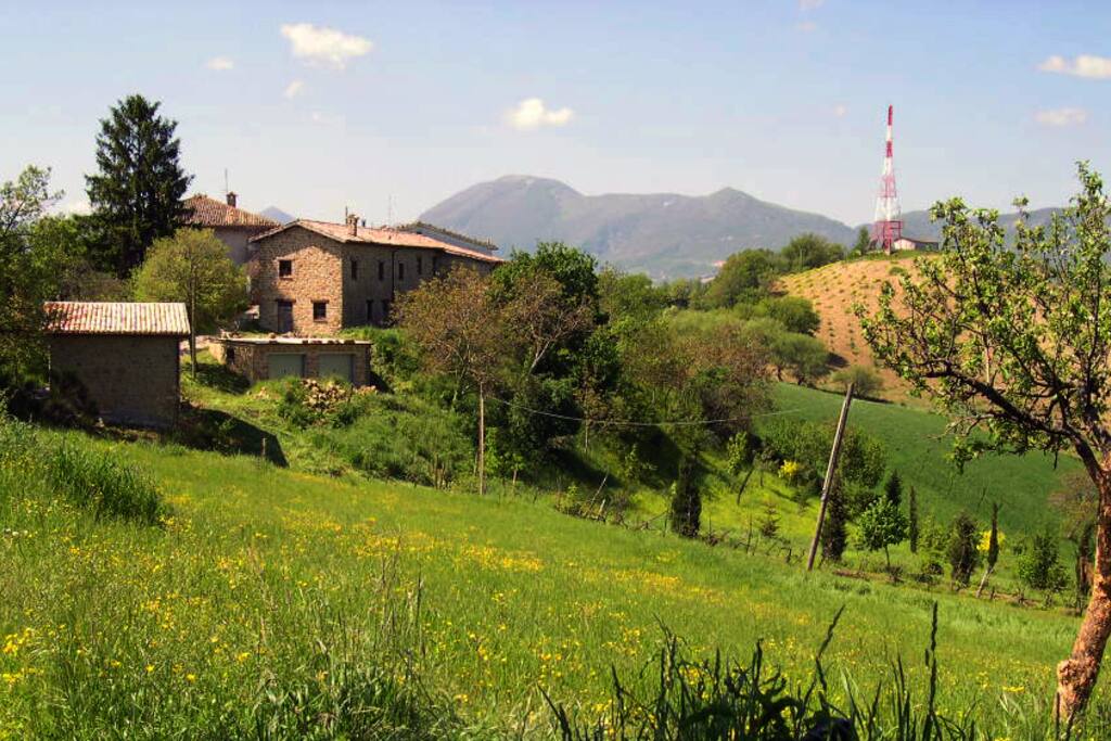 the house