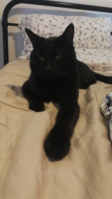 this is Mika