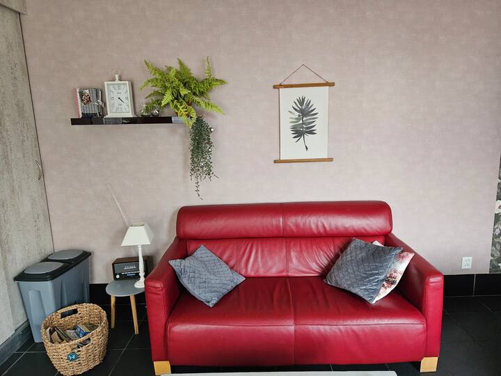 Studio T Hout - Westkapelle