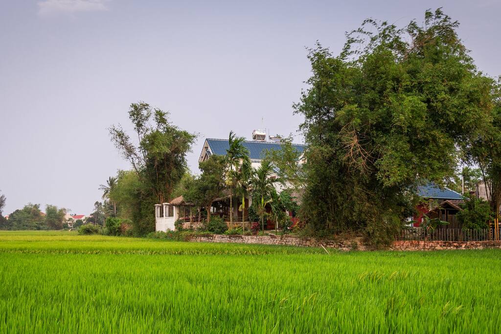 The property