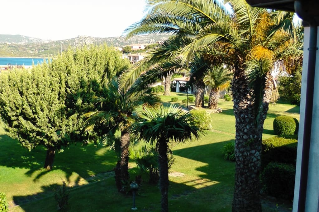 Vista sul giardino condominiale ed il mare antistante