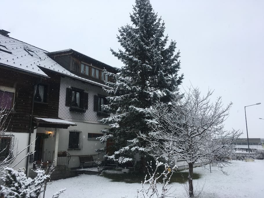 Entrance area of the 2 Floor apartment in winter / Eingangsbereich der 2 stöckigen Wohnung im Winter