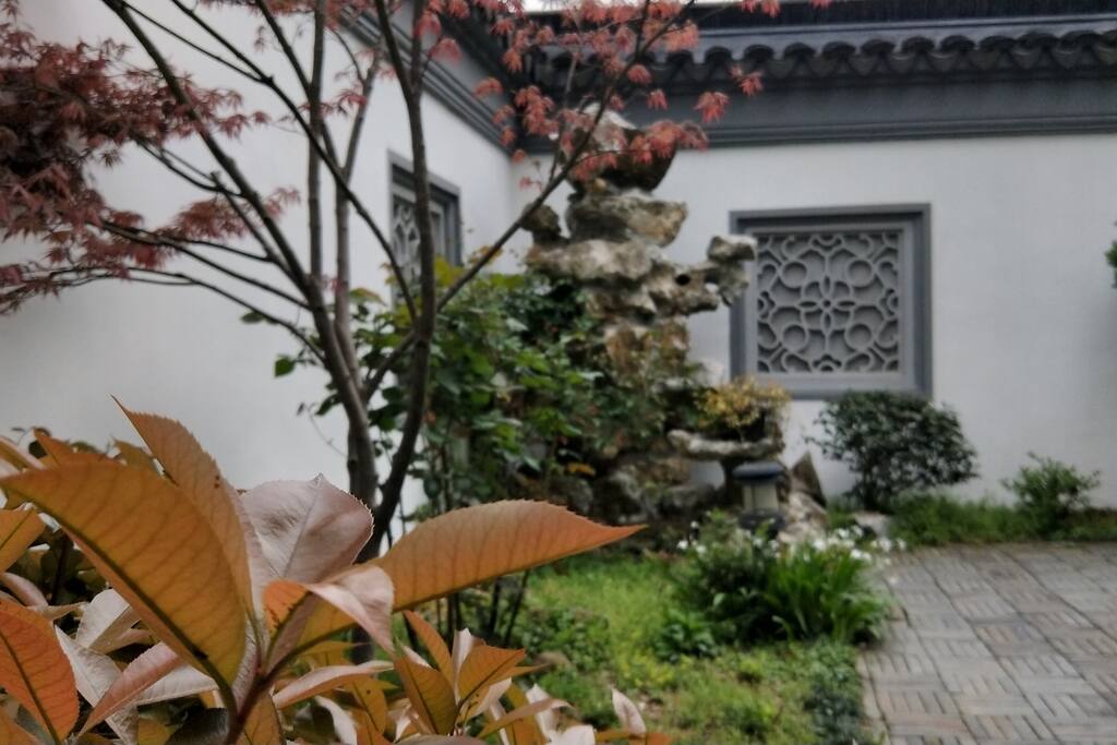 院子景色