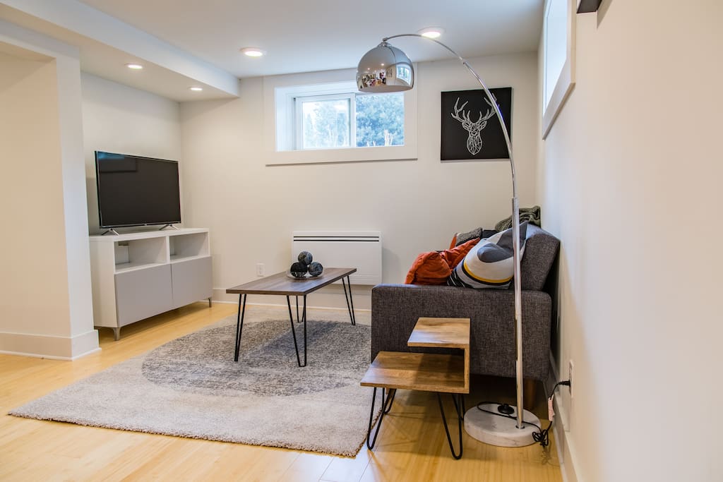 The living area has a pull-out sleeper couch and a Roku TV with Sling and HBO.