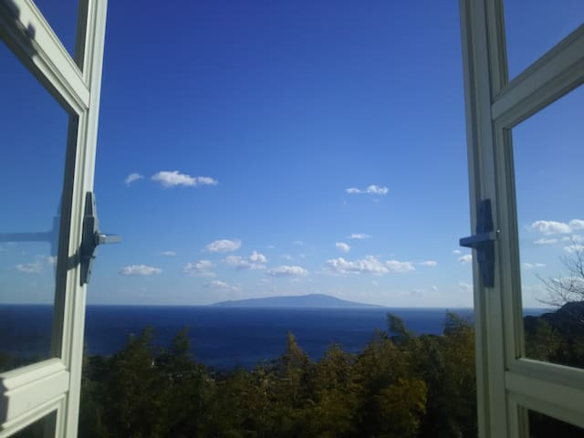 Asahi's Home Company ♪ by HORIZON room.1