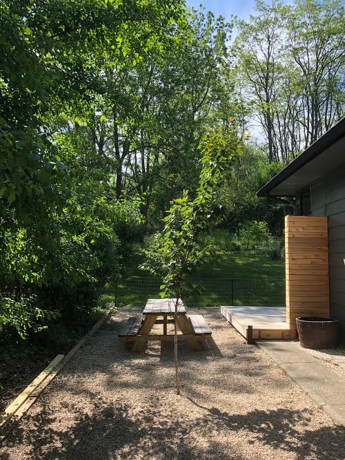 An outdoor space is presented with a rustic wooden picnic table surrounded by gravel and bordered by greenery. Natural light illuminates the area, while trees provide a lush backdrop. A wooden screen is visible beside the structure, enhancing the enclosed feel of the setting.