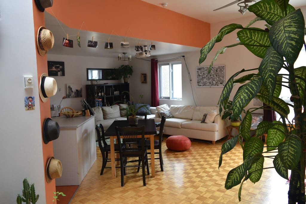 Énorme salon avec beaucoup de lumière