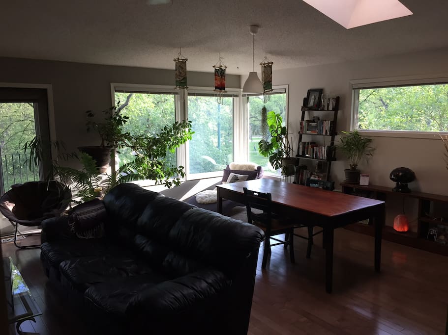 Dining and living area