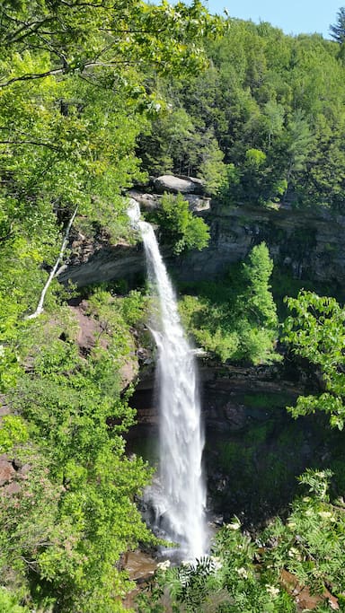 10 minutes away from Kaaterskill Falls. Excellent hiking. Also minutes away from North Lake in Haines Falls.