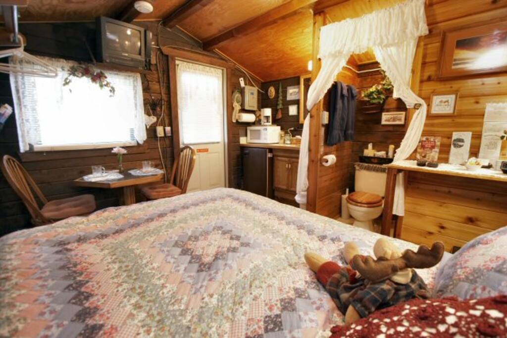 Toilet and Shower behind curtain, Fridge, microwave, coffee maker and sink near door.