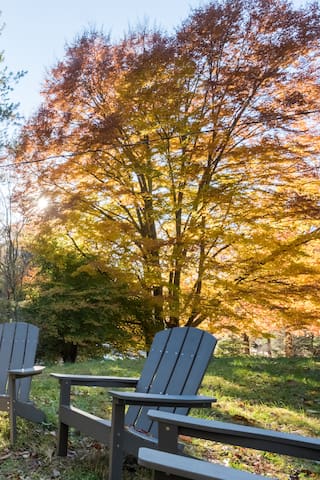 Lucky W Ranch House-#1 Host in US!