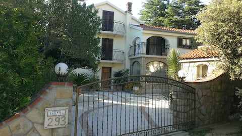 Fifa apartman