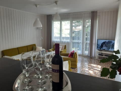 Top performing Airbnb: Snug yet spacious, perched among old oak trees in Balatonalmádi