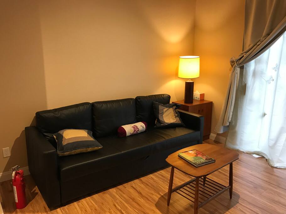Pull out sofa bed sleeps 2