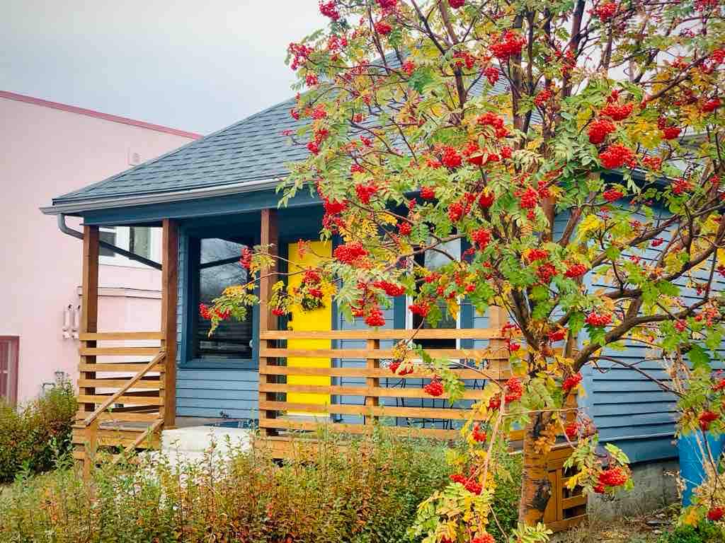 The house features a charming facade with a blue exterior and bright yellow door, framed by decorative wooden railings. A red-berried tree adds a touch of natural beauty to the landscape, while foliage surrounds the entrance, enhancing the property's inviting curb appeal.