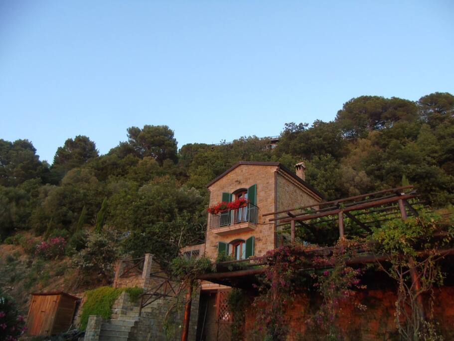 The oaks wood and the house