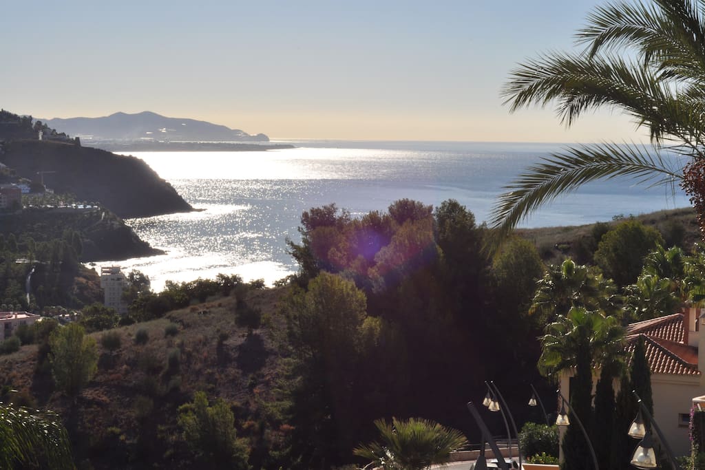 View from the terrace