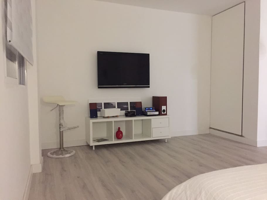 Mueble con Equipo Stereo Pioneer, Cd's música y Tv Sony 40' conexión digital y satélite con Internet WIFI.