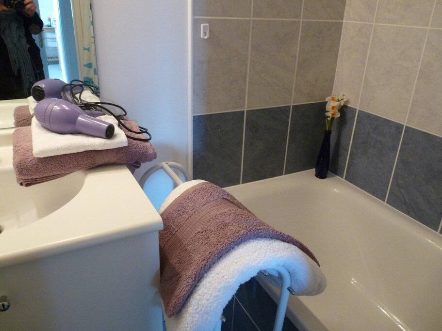 salle de bain avec baignoire douche et lavabo