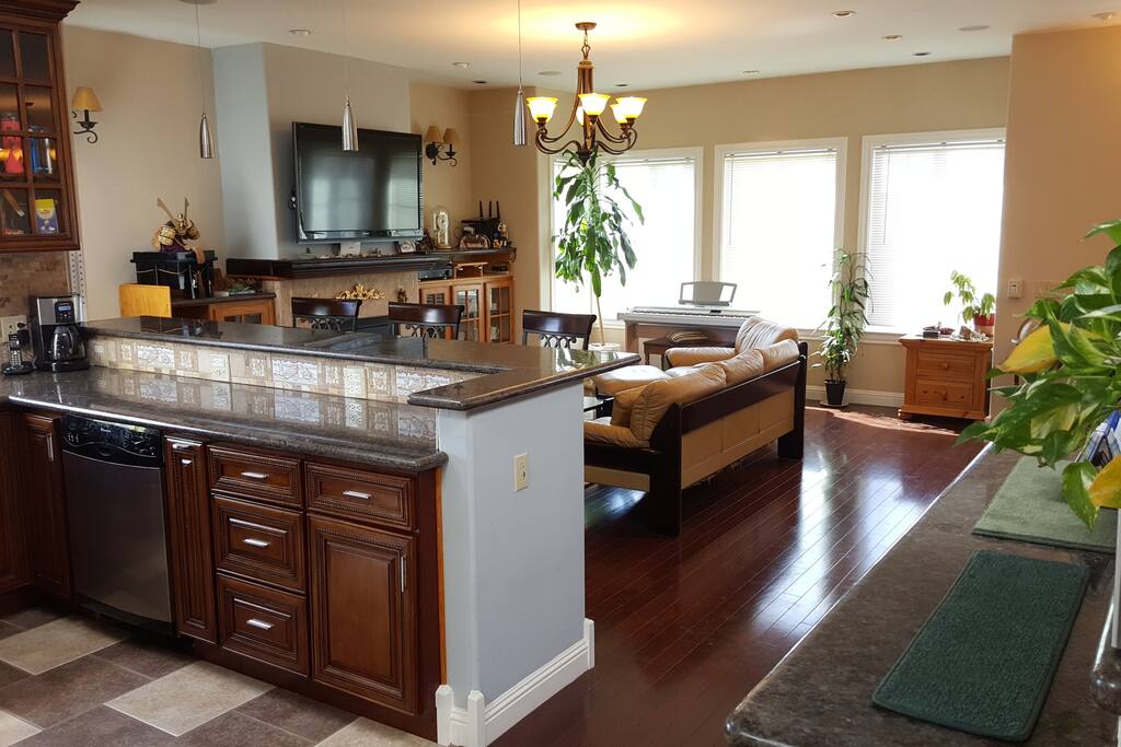 Living / Kitchen Area