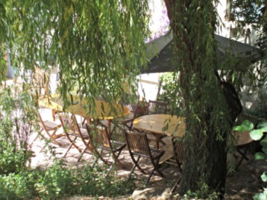 la terrasse